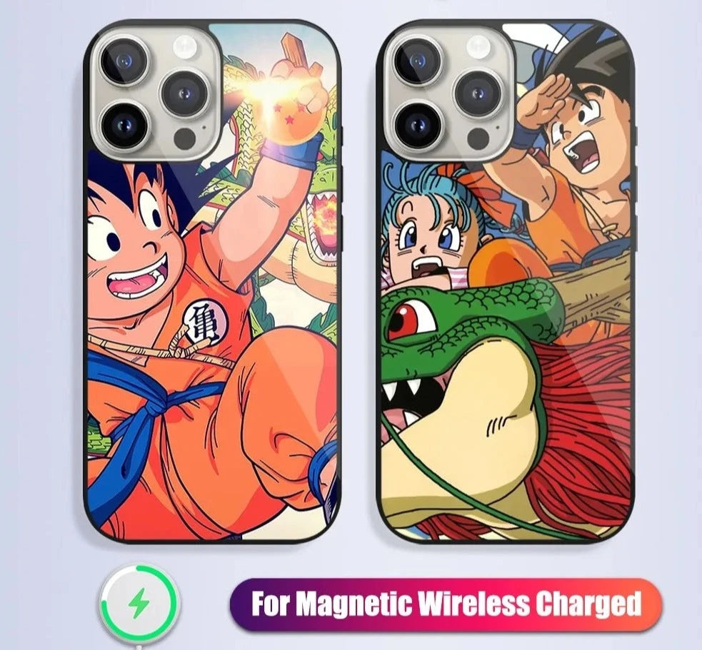 Dragon Ball Case